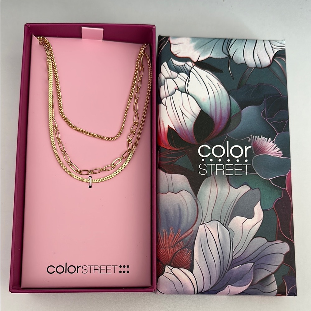 Color Street Chain Necklace